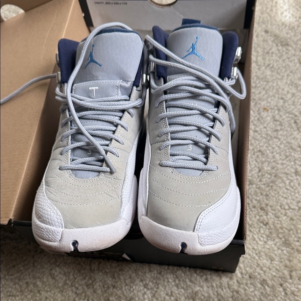 Jordan Sneakers in Gray and Navy